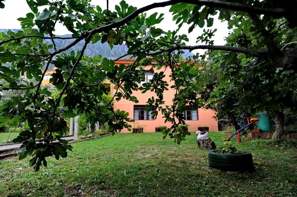 Apartments Vido Котор Екстер'єр фото