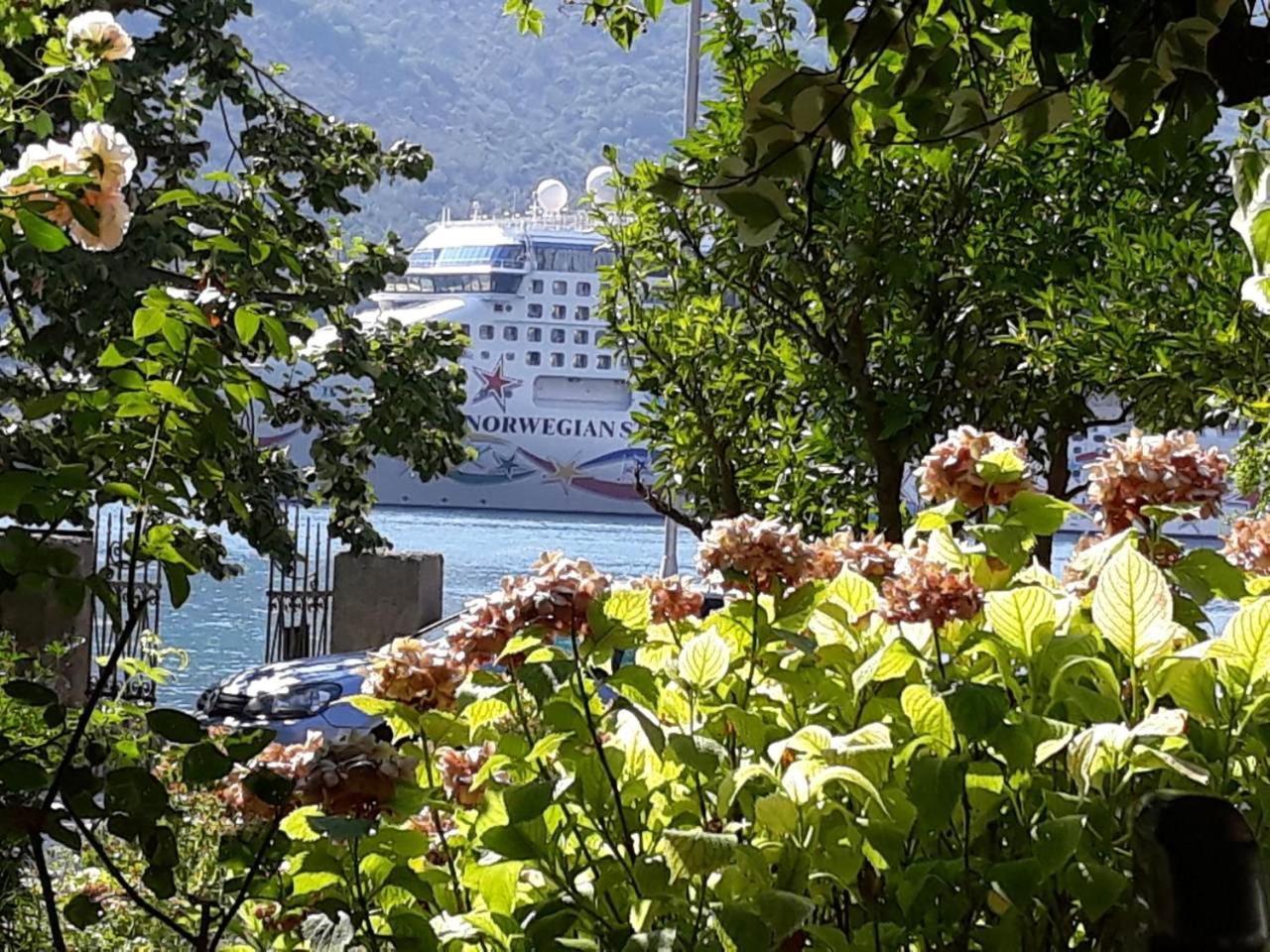 Apartments Vido Котор Екстер'єр фото